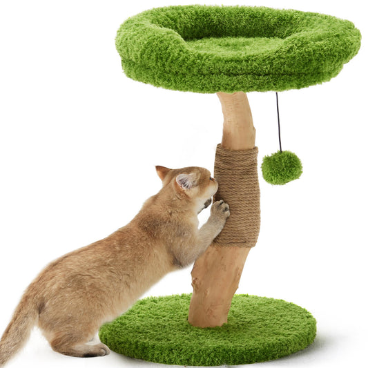 Pear Wood Cat Scratcher Post with Jute Rope and Plush Perch - 20 Inch