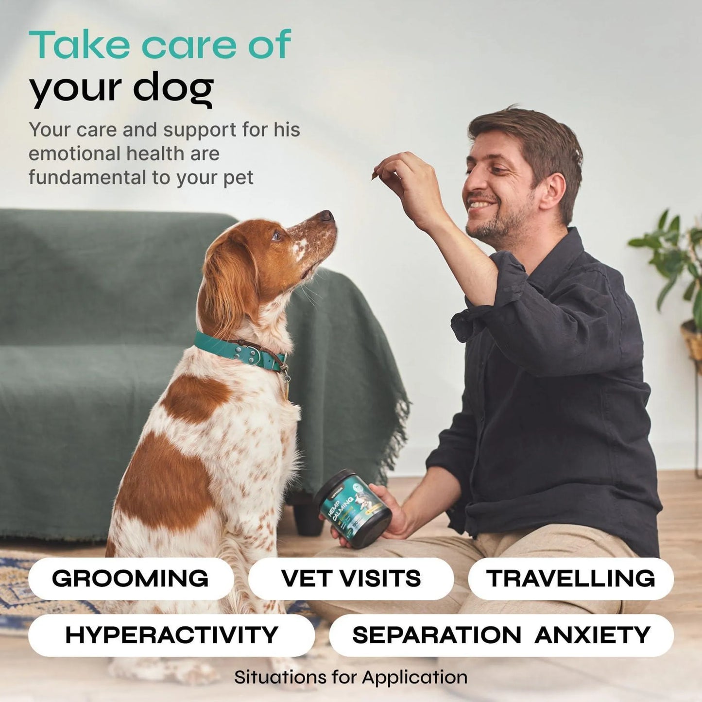 Hemp Calming Chews - Savory Beef - Soft Chew Style - USA