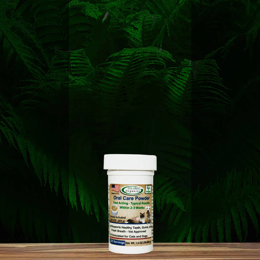 Oral Care Powder - Organic Ingredients - Mealtime Supplement - USA Made