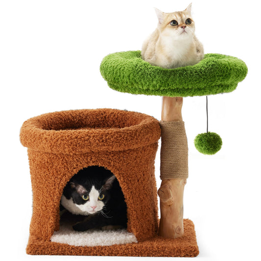 Artisan Pear Wood Cat Tree, Real Solid Branch Tower with Natural Jute & Washable Plush Cloud Perch, 20", Sustainable Home Decor