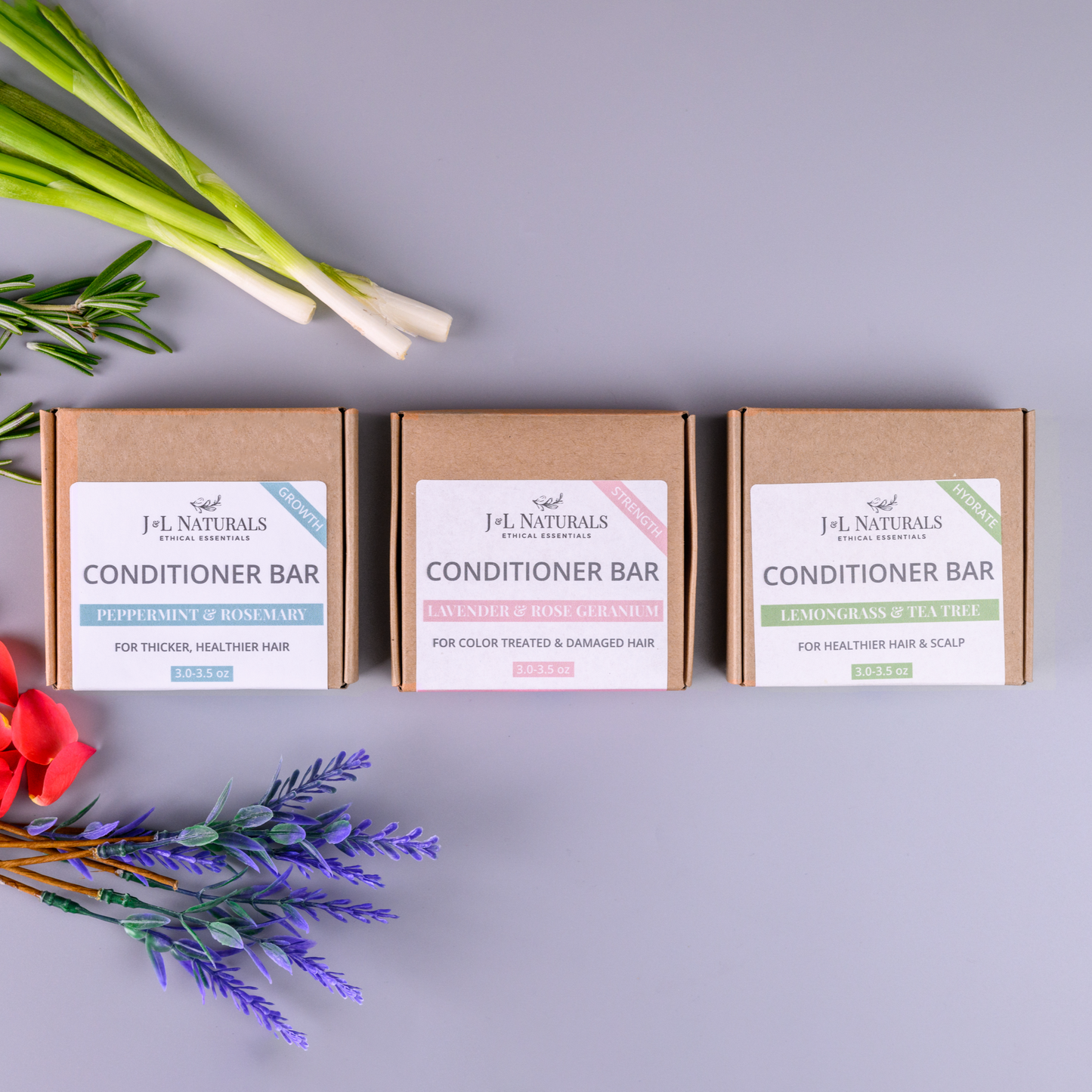 Hydrating Conditioner Bar - Plant Based Oils - 5 Pack Bundle - USA