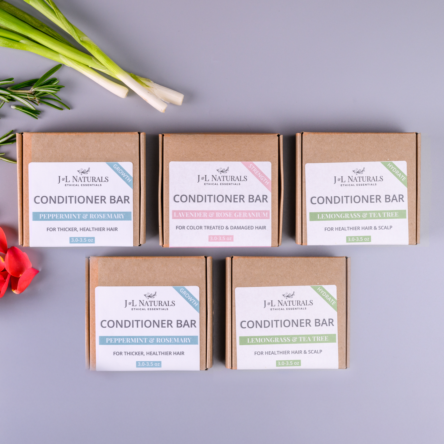 Hydrating Conditioner Bar - Plant Based Oils - 5 Pack Bundle - USA