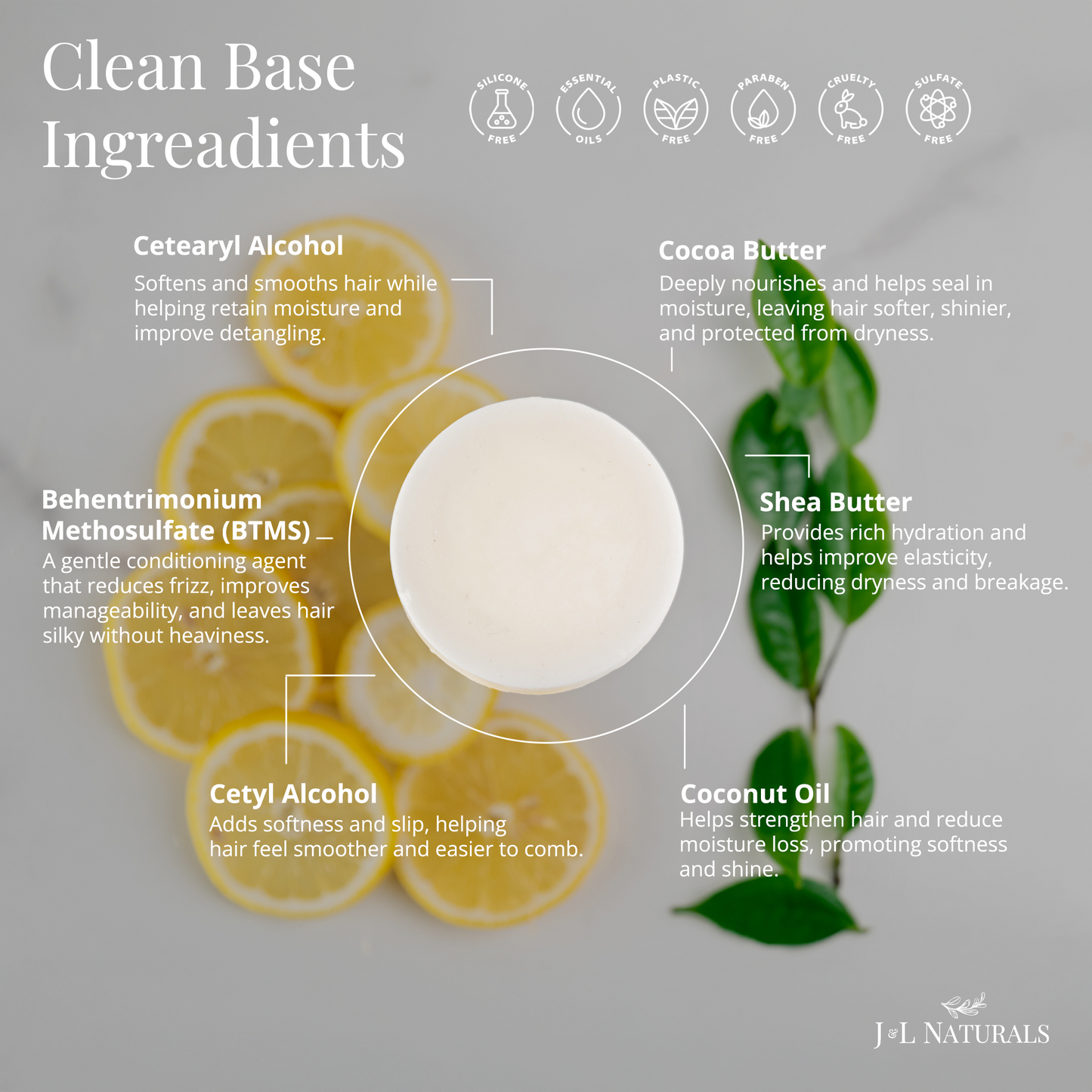 Hydrating Conditioner Bar - Plant Based Oils - 5 Pack Bundle - USA